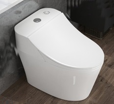 高級(jí)電腦大便器實(shí)訓(xùn)裝置