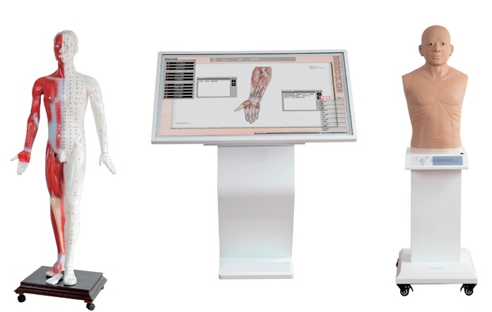 醫(yī)穴位訓(xùn)練、針灸仿真一體訓(xùn)練系統(tǒng)