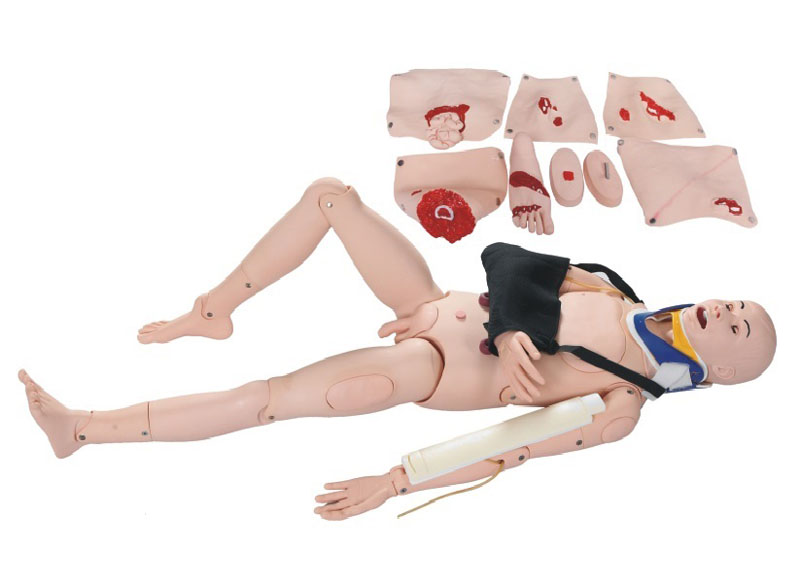 FC-220野戰(zhàn)基礎(chǔ)傷情模擬人